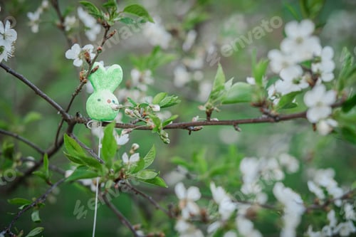 Preview: Easter decoration on the branches of cherries with flowers. Merry Easter on the street