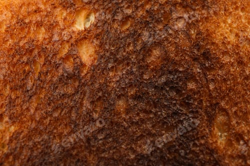 Preview: Toast bread texture on whole background, close up