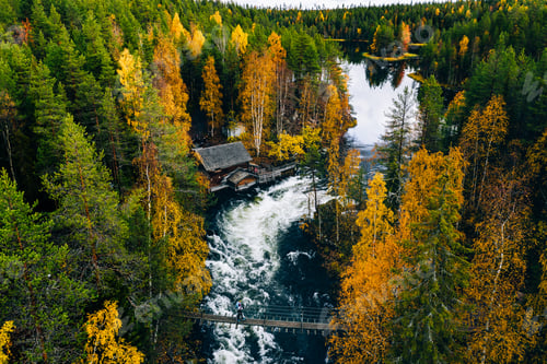 Preview: Aerial view of fast and wooden cabin in beautiful orange and red autumn forest.