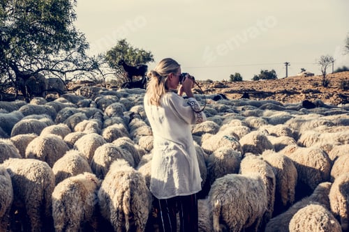 Preview: Blonde woman among a flock of sheep