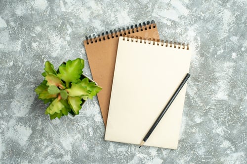 Preview: Top view of two kraft spiral notebook with pen and flower pot on ice background