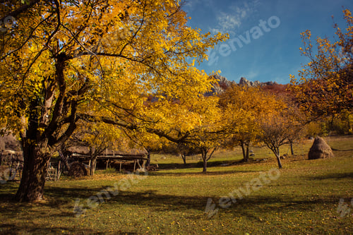 Preview: Autumn rural landscape