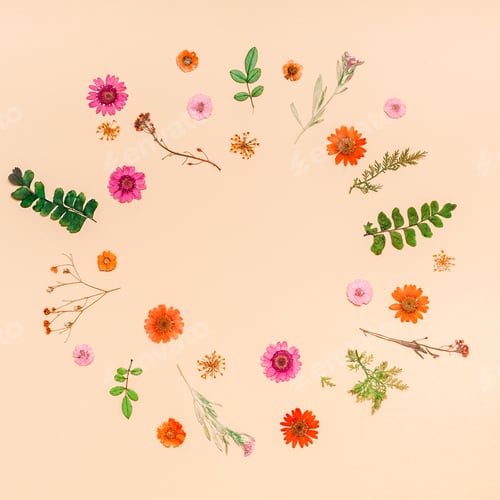 Preview: Frame made of dried flowers and leaves