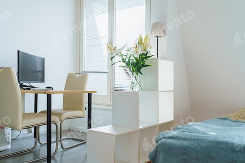 Preview: Studio apartment interior