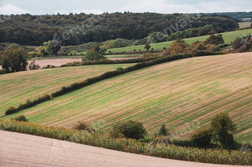 Preview: Landscape view with fields, hedges and forest in the distance.