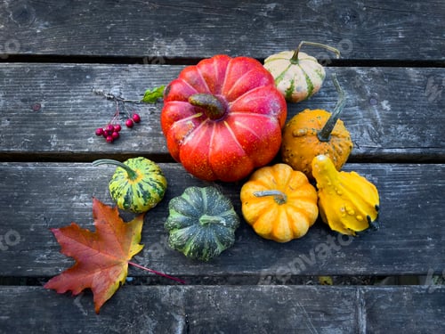 Preview: Different colorful pumpkins and colorful autumn leaves on a rustic wooden table