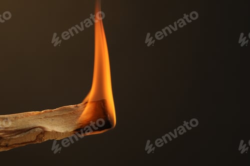 Preview: Burning palo santo stick against dark background, closeup. Space for text