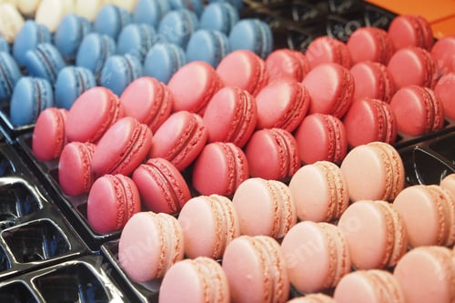 Preview: Colorful macarons displayed in rows at a patisserie