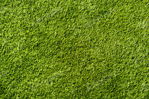 Preview: Top view green grass texture background. Idea concept used for making green backdrop. Wallpaper