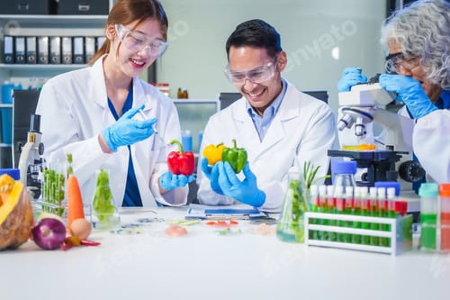 Preview: A male scientist and two women conduct plant research in a laboratory. microscopes, petri dishes