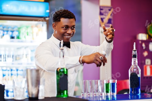 Preview: Bartender at bar