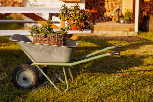 Preview: Garden wheelbarrow in the garden