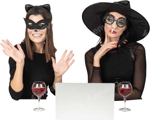 Preview: two women wearing masks and drinking wine in front of a laptop