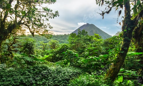 Preview: Volcan Arenal Among Dense Jungle in Costa Rica