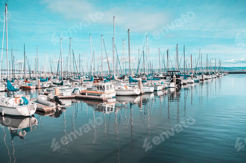Preview: A large number of boats are docked in a marina