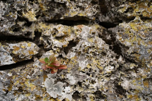 Preview: Old mountain stone background