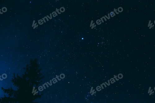 Preview: Crown Of Pine Tree On Blue Night Starry Sky Background. Night View Of Natural Glowing Stars