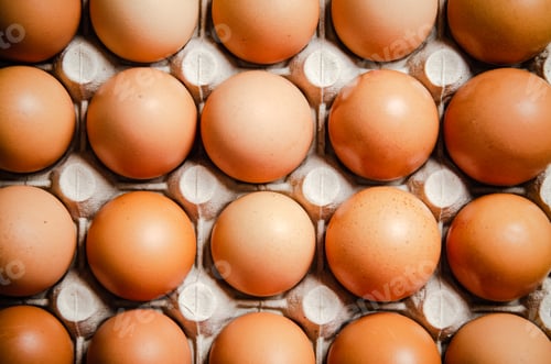 Preview: Fresh eggs in cassette.