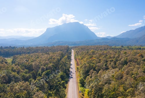 Preview: Forest trees and green mountain hills. Nature landscape background.