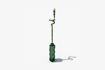 Preview: Pointed plant in green vase with shadow