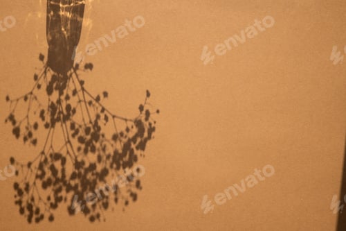 Preview: Top view of white flower shadow on sand color background. Flat lay. Minimal summer