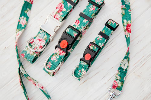 Preview: Dog Collar and Leash set. Pet Supplies and Walking Gear Collection