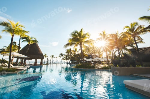 Preview: Swimming pool among palm trees on a tropical island
