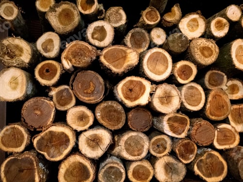 Preview: Pile of firewood ready for winter, close-up.