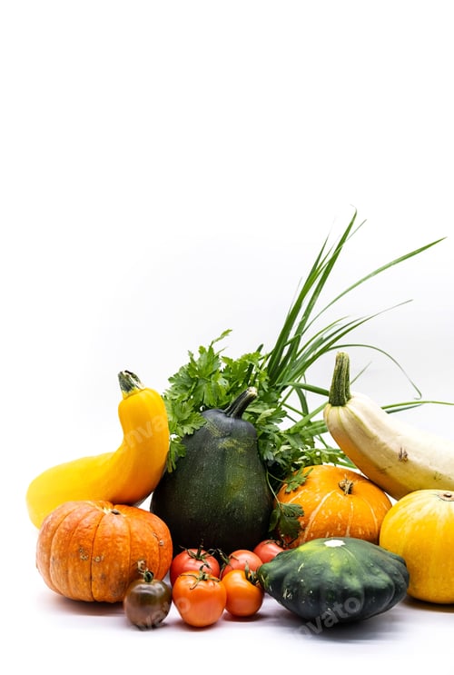 Preview: Organic Vegetables Pumpkins, Squash, Zucchini, Tomatoes, Parsley on White.