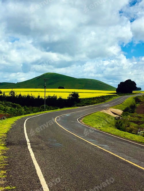 Preview: Rapeseed Vegetable oil oilseed oil-rich seed Kenyan Landscape Agriculture Farm Fields Plants