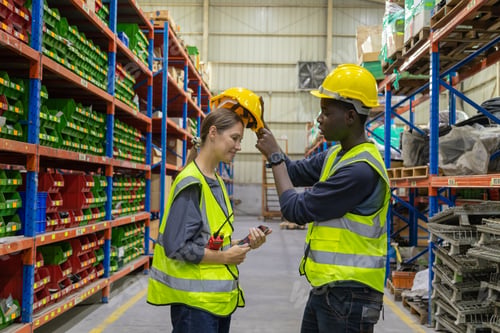 Preview: Store clerks inspect products, warehouses, industrial and logistics supply chains.