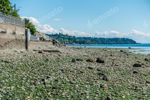 Preview: A View Of A Seawall And The West Seattle Shoreline At Low Tide.