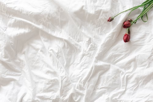 Preview: Fresh flowers tulips in a white bed, top view, copy space.
