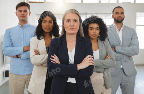 Preview: Group of diverse and powerful businesspeople standing together with their arms folded in an office.