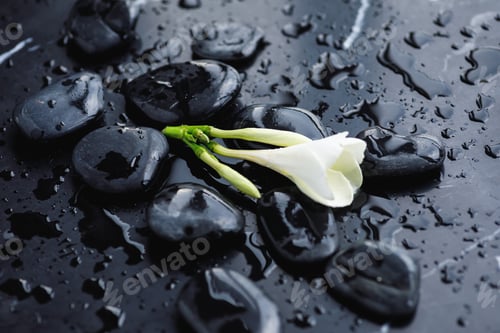 Preview: Beautiful plumeria flower and hot spa stones