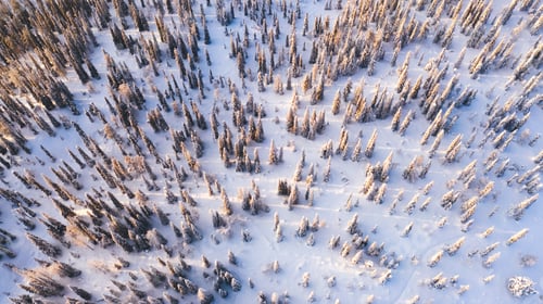 Preview: Bird’s eye top view of famous natural landmark in Riisitunturi on winter season
