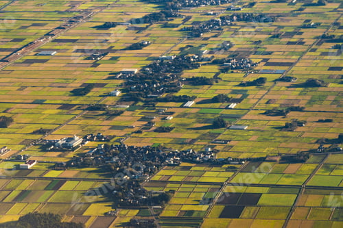 Preview: Paddy rice terraces, green agricultural fields in countryside of mountain hills valley, Vietnam.