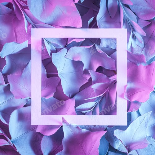 Preview: Natural leaves and white border in neon lighting.