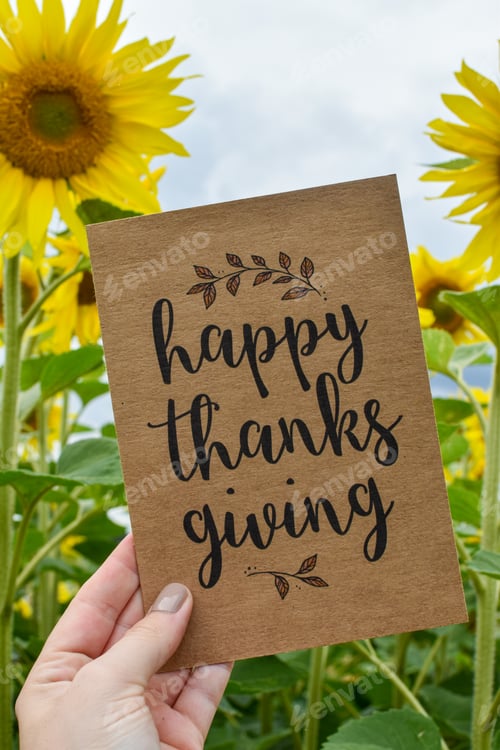 Preview: Happy Thanksgiving
