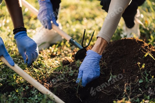 Preview: Gardeners removing weed from soil using garden hoes