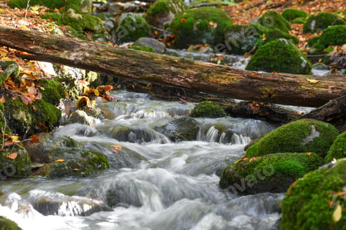Preview: Photo of water flowing in a river during autumn