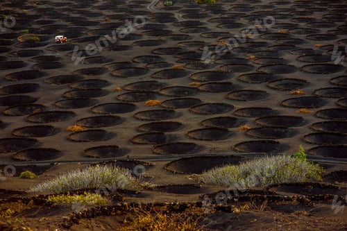 Preview: Volcanic vineyard with vineholes