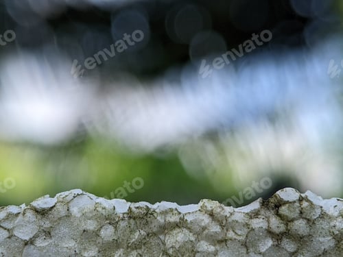 Preview: Closeup white polystyrene with blurry green nature background