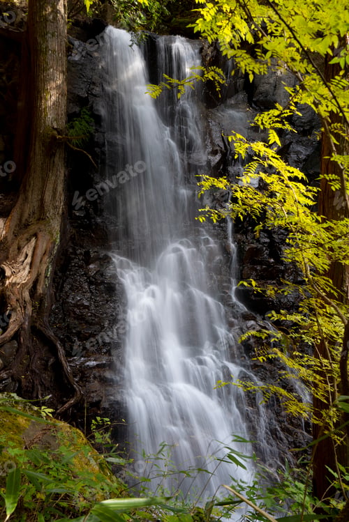 Preview: Long exposure cascading waterfall in the jungle
