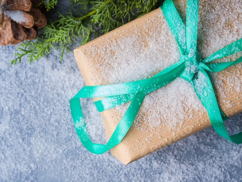 Preview: Gift with Green Ribbon, Pine Cone and Evergreen