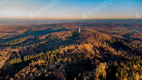 Preview: Aerial view of temperate broadleaf and mixed forests at fall