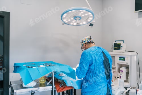 Preview: Veterinarian performing surgery on animal in operating room