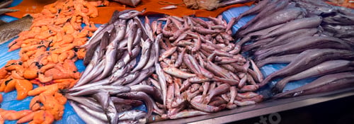Preview: Fresh Fish at Central Food Market