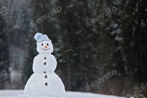 Preview: Adorable smiling snowman outdoors on winter day. Space for text