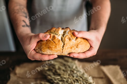 Preview: Baker hands breaks in half fresh baked bread loaf